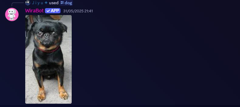 /dog command screenshot